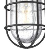 Westinghouse Lighting Crestview 61131 plafondlamp voor buiten, vintage look, gestructureerd, zwart met helder glas, 61131