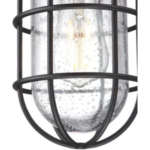 Westinghouse Lighting Crestview 61131 plafondlamp voor buiten, vintage look, gestructureerd, zwart met helder glas, 61131