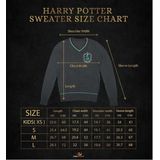 CINEREPLICAS - Griffoendor Hoodie - Zwart - Katoen