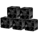 ARCTIC S4028-6K Computer behuizing Ventilator 4 cm Zwart 5 stuk(s)