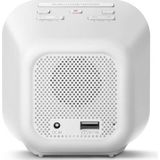 PHILIPS TAR4406 - Klokradio - Spiegelende Afwerking - Digitale FM-tuner - USB-telefoonoplader