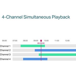 TP-Link VIGI NVR1004H-4P-2TB - NVR - Zwart - 2 TB