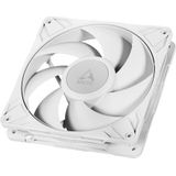 Arctic - P14 Pro PST - Ventilator - Wit - 140 mm - PWM