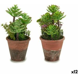 Decoratieve plant Vetplant Plastic 16 x 23 x 16 cm (12 Stuks)