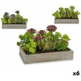 Decoratieve plant Vetplant Plastic Cement 16,5 x 20 x 28,5 cm (6 Stuks)