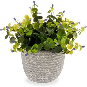 Decoratieve plant Blommor Plastic 21 x 20,6 x 21 cm (8 Stuks)