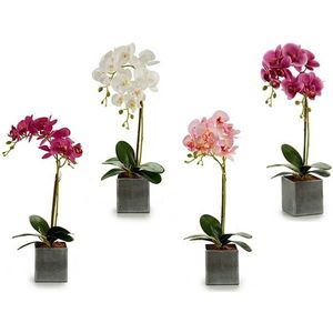 Decoratieve Bloem Orchidee Plastic 14 x 51 x 18 cm (6 Stuks)