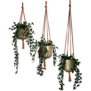 Voordeelset van 3 Plantenhangers - Rood/Roestbruin - 80, 100 en 120 cm - Katoen - Macramé - Handgemaakt in Nederland - Let op: Excl. Pot - Inclusief Verzendkosten