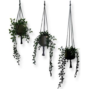 Voordeelset van 3 Plantenhangers - Donkergroen - 80, 100 en 120 cm - Katoen - Let op: Excl. Pot - Macramé - Handgemaakt in Nederland - Inclusief Verzendkosten