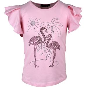 S&C Shirtje Flamingo roze Kids & Kind Meisjes Blauw - Maat: 98/104