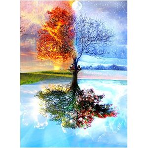 diamond painting opbergdoos - Diamond Painting Accessoires - Voor Diamant Schilderij Kralen, Zaden, Sieraden / Painting Volledige set, 5D Diamond Painting Foto's met Diamond Painting Accessoires