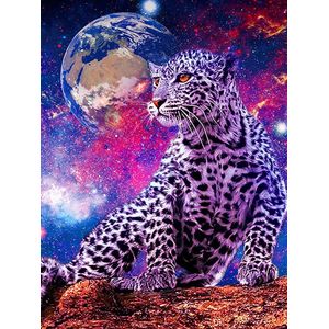 diamond painting opbergdoos - Diamond Painting Accessoires - Voor Diamant Schilderij Kralen, Zaden, Sieraden / Painting Volledige set, 5D Diamond Painting Foto's met Diamond Painting Accessoires