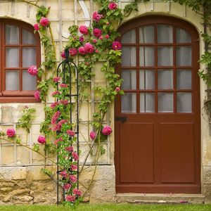 Klimplantenrek / voor tomaten, komkommers en klimplanten - plantensteun \ Garden arch Rose arch / Garden arches / Tuinbogen \ Plantenrek Plantenrekken Rozenrek - klimhulp