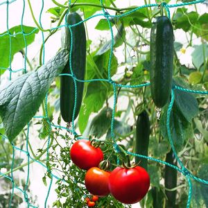 plantenclips voor tomaten, rozen, komkommers en andere klimplanten, Klimplantenrek (2m x 7.5m)