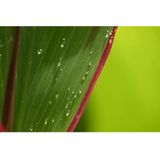 NIKKOR Z DX 18-140 mm f/3.5-6.3 VR - Zoomobjectief - Zwart - Glas