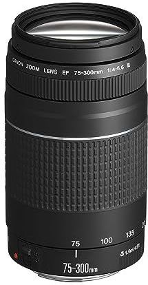 Canon EF 75-300mm f/4-5.6 III - Cameralens