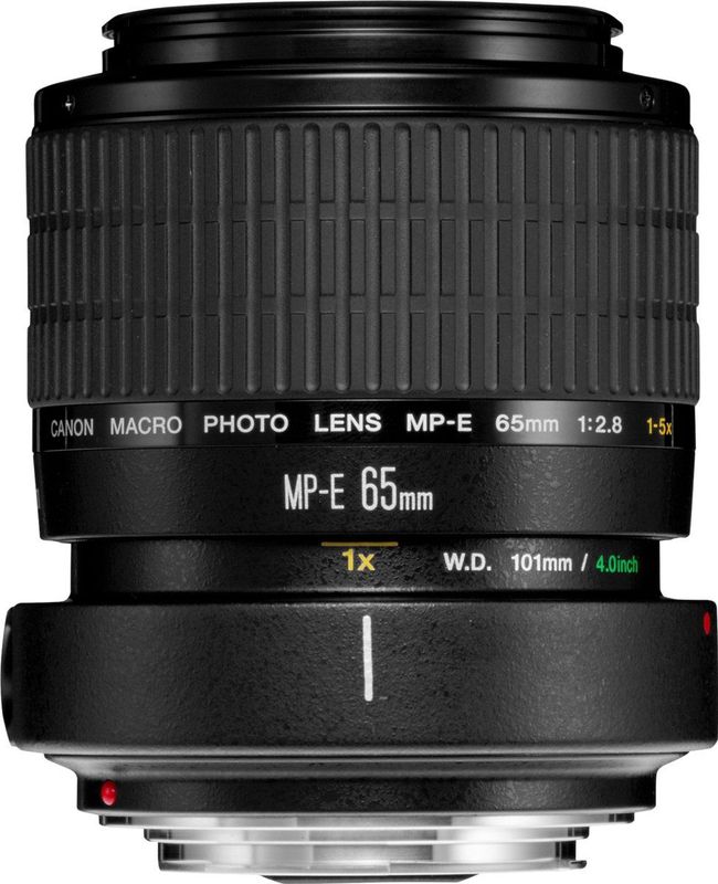 Canon - MP-E 65mm f/2.8 - Macro Lens - 1-5x Vergroting - Zwart - UV-glaselementen