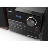 Sharp - Audioapparaat - Houten Luidsprekerkast - Bluetooth - 2.0 Kanaals