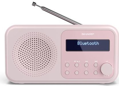 Draagbare Digitale Radio - Bloesem Roze - Kunststof - DAB+ en FM