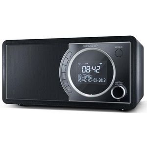 Sharp DR-450(BK) radio Klok Zwart