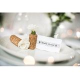 Labeltape met patroon Brother TZe, TZ TZe-MPSL31 Tapekleur: Wit (met zilveren motief) Tekstkleur:Zwart 12 mm 4 m