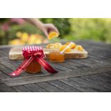 Brother - TZe-RW54 Tape - Goud op Wijnrood - 24 mm - 4 Meter