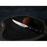 Yaxell - Ran - Steakmes - 69 Lagen Damaststaal - VG10 Staal - Canvas-Micarta Heft