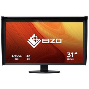 EIZO CG319X 31 inch monitor