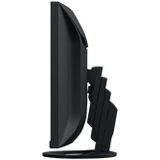 EIZO FlexScan EV3895-BK - Met FlexStand