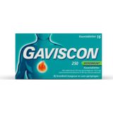 Gaviscon Kauwtabletten Pepermunt 250 mg 16 tabletten