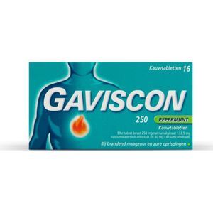 Gaviscon Pepermunt 250  16 tabletten