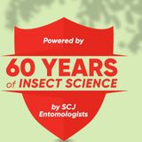 6x Autan Insectenspray Care Soft 100 ml