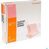 Allevyn Gentle Border Sterxcm 10 66800272