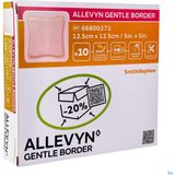 Allevyn Gentle Border Sterxcm 10 66800272