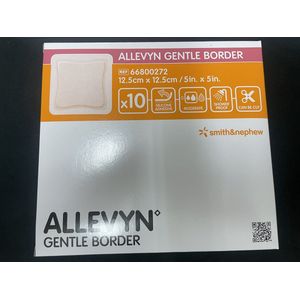 Allevyn Gentle Border Sterxcm 10 66800272