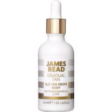 James Read - H2O Tan Drops - Zelfbruiners - Waterbasis - 100ml