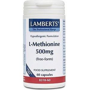 Lamberts L Methionine 500 8318