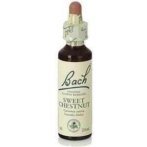Bach - Bach Sweet Chestnut Flower Voedingssupplement met zoete kastanjebloesem, druiven Alc 27% Vol, helpt je emoties te beheersen wanneer je comfort wilt - 20 ml