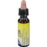 Bach - Rescue Nacht - Bloesem Remedie - 20 ml