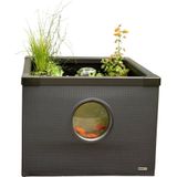 Outdoor Aquarium