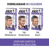 Just For Men Touch of Grey T35