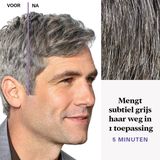 Just For Men Touch of Grey T35