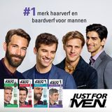 Just For Men Touch of Grey T35