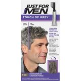 Just For Men Touch of Grey T35