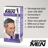 Just For Men Touch of Grey T55