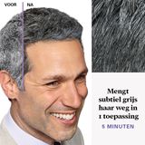 Just For Men Touch of Grey T55