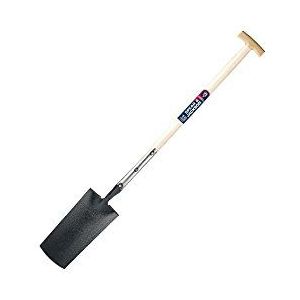 Spear