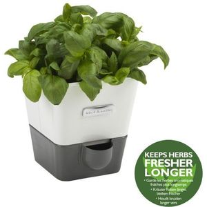 Cole & Mason Kruidenpot - Self Watering - Kunststof - Wit/Grijs