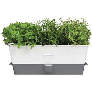 Cole & Mason H105349 Burwell Kruidenhouder Met Zelfbewateringssysteem, Wit/Grijs, Kruidenpot Vensterbak met Irrigatiesysteem en Waterreservoir, Roestvrij Staal, Drievoudig, 2 Jaar Garantie
