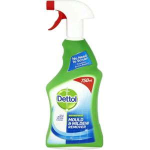 Dettol Mould & Mildew Remover - 750ml